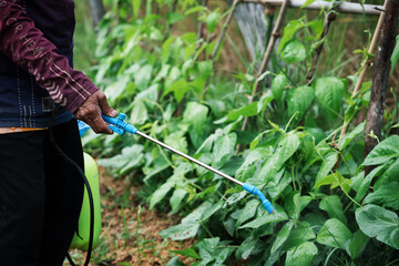 Pesticide application in agriculture rural farm action shot lush green environment close-up view sustainable practices