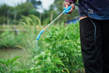 Pest control action in agriculture farm field photography outdoor close-up environmental sustainability