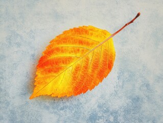 Single Autumn Leaf on Blue Textured Background Vibrant Orange Yellow Fall Foliage Isolated Botanical Element Seasonal Nature Display