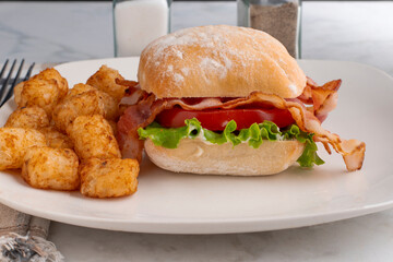 blt sandwich  served with tater tots