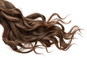 Wavy Brunette Hair Strand Isolated on White Background on a transparent background, cut out