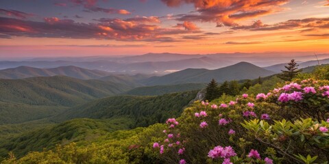 Fototapeta premium Landscape photography of mountain range at sunset with flowers in foreground wallpaper