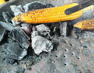 Close up shot of Sweet Corn cooked in coal fire.