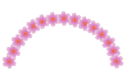 Curved Pink Sakura Flower Decorative Element Illustration on Transparent Background for Elegant and Aesthetic Design