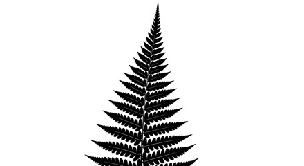 Silhouette of a fern leaf, botanical illustration