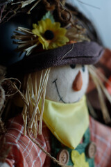 Close up of a puppet