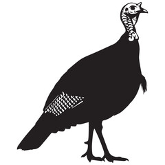 Silhouette of a wild turkey standing proudly