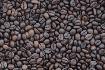 Roasted coffee beans background in warm dark scene close up