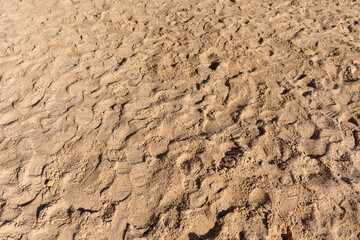 Footprints on sandy ground with textured surface in outdoor setting 
