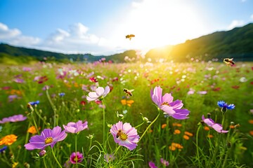 Obraz premium Bees pollinating flowers in a meadow under the warm sunlight beaming through the sky