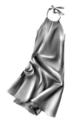 Silver dress isolated