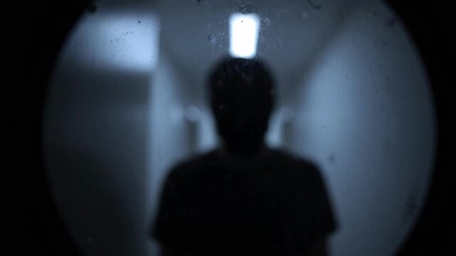 Shadowy figure seen through door peephole in dimly lit hallway