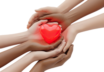 Diverse group of hands cupped together holding a glowing red heart isolated on transparent background