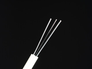 A very close-up detail shot of the exposed, thin strands of an optical fiber cable against a stark...