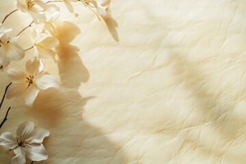 Soft flower petals with shadows on light beige paper perfect for natural product branding spa ads and elegant lifestyle visuals