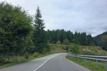 Beautiful view of green trees and asphalt road in mountains