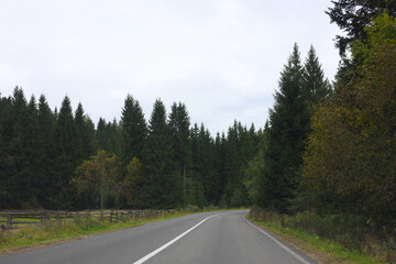 Naklejka premium Beautiful view of green trees and asphalt road