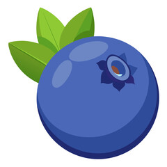 blueberry on white background