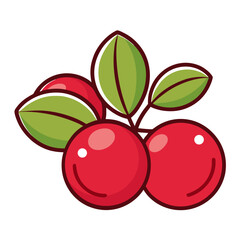 line art cranberry on white