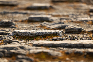 Ancient floor tiles on the square before Hall of Supreme Harmony