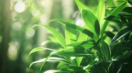 Compelling Natural Ecological Advertising Design – Eco-Conscious, Nature-Inspired Visuals for Green Brands. This design weaves natural ecological elements—lush foliage, clear water, wildflowers, and s