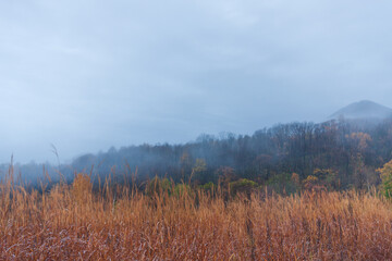 秋、早朝の散歩道