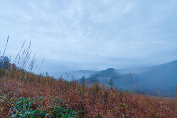 秋、早朝の散歩道