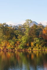 秋、早朝の散歩道