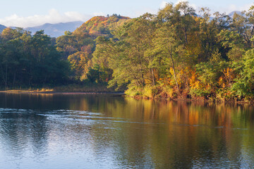 秋、早朝の散歩道