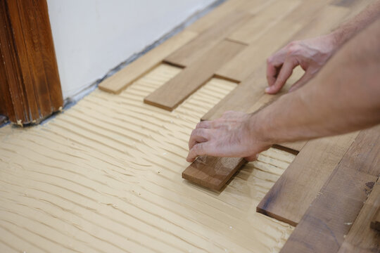 Man installing iroko wood parquet boards by hand over adhesive during natural flooring installation and DIY home renovation project