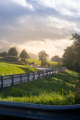 Fototapeta premium Winding road through lush greenery towards a Norway. Offers calming sunrise sunset ambience for a serene scenic drive.