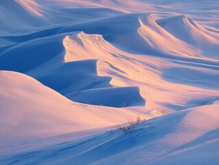 Natural Winter Landscape Snow Drifts Sunrise Light Arctic Tundra Cold Environment White Expansive Frozen Scenery Serene Wilderness Morning Glow