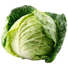 Fototapeta premium Fresh green cabbage isolated closeup healthy vegetable food ingredient ready for cooking