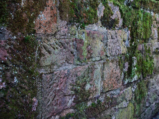 Moss-Covered Stone Wall Close-Up