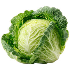 Fresh green cabbage head isolated crisp healthy leafy vegetable food photography