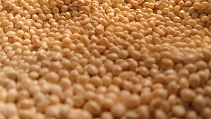 Close up of a pile of millet grains with focus on the far side