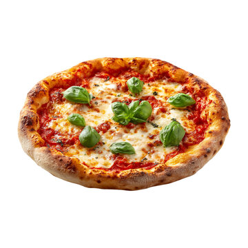 Delicious bufala margherita pizza with fresh basil and melted mozzarella