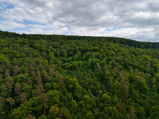 Scenic Landscape with Rolling Hills and Green Fields