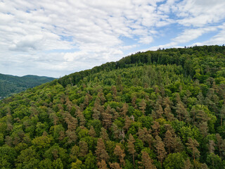 Obraz premium Scenic Landscape with Rolling Hills and Green Fields