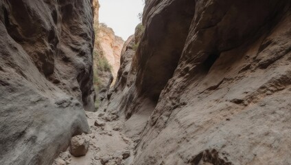 Narrow Slot Canyon With Textured Rock Walls and Dry Riverbed.