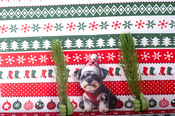 Christmas landscape with gifts and snow. Merry christmas and happy new year . Christmas celebration holiday background