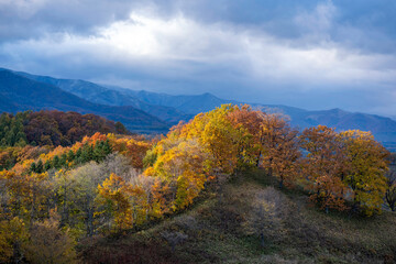 Shin-Arashiyama Sky Park Observatory Obihiro, Hokkaido Japan 新嵐山スカイパーク展望台
