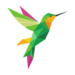 hummingbird on a branch