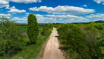 Scenic Rural Road with Lush Greenery and Blue Sky