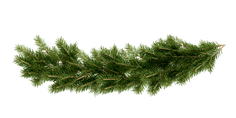 Christmas tree garland on transparent background