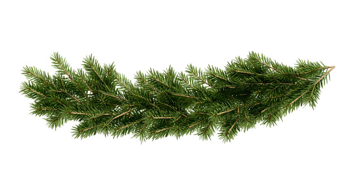 Christmas tree garland on transparent background