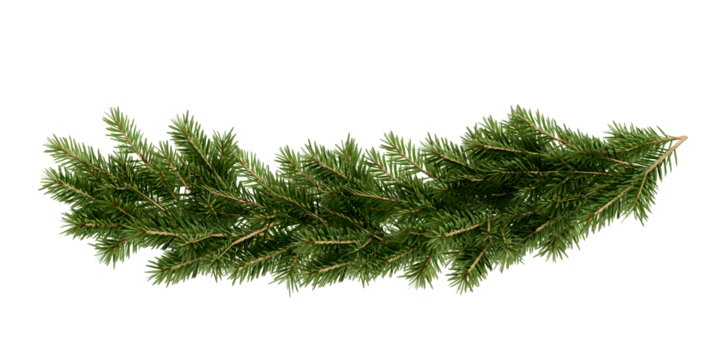Christmas tree garland on transparent background