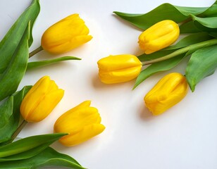 Obraz premium Overhead shot of six vibrant yellow flowers with lush green leaves, arranged on a plain white background. The composition is clean, simple, and visually pleasing