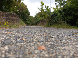 Low-Angle View of Rural Road with Foliage