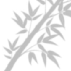 Soft Bamboo or Fine Leaves Corner Shadow Overlay